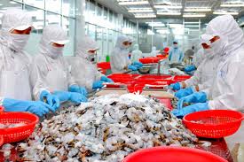 mặt hàng xuất khẩu sang Ai Cập